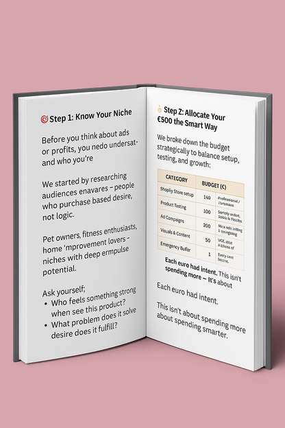 How to Turn €500 into a Profitable Shopify Store